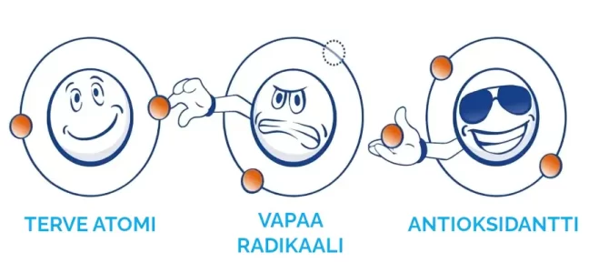 Vapaat radikaalit ja luonnonkosmetiikka