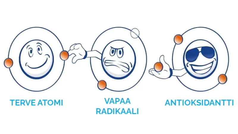 Vapaa radikaali kaavio